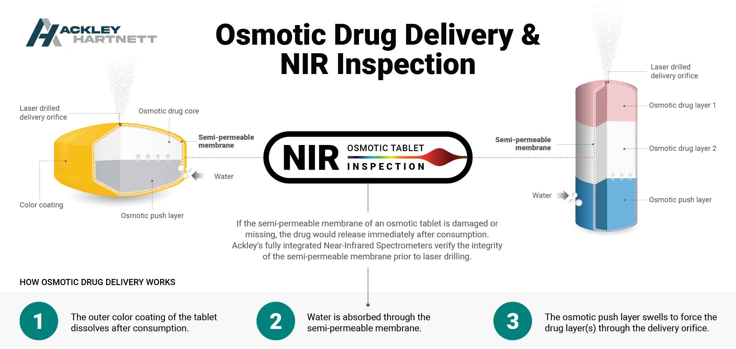 image explaining how osmotic drug delivery works